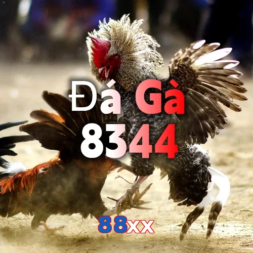 88xx
